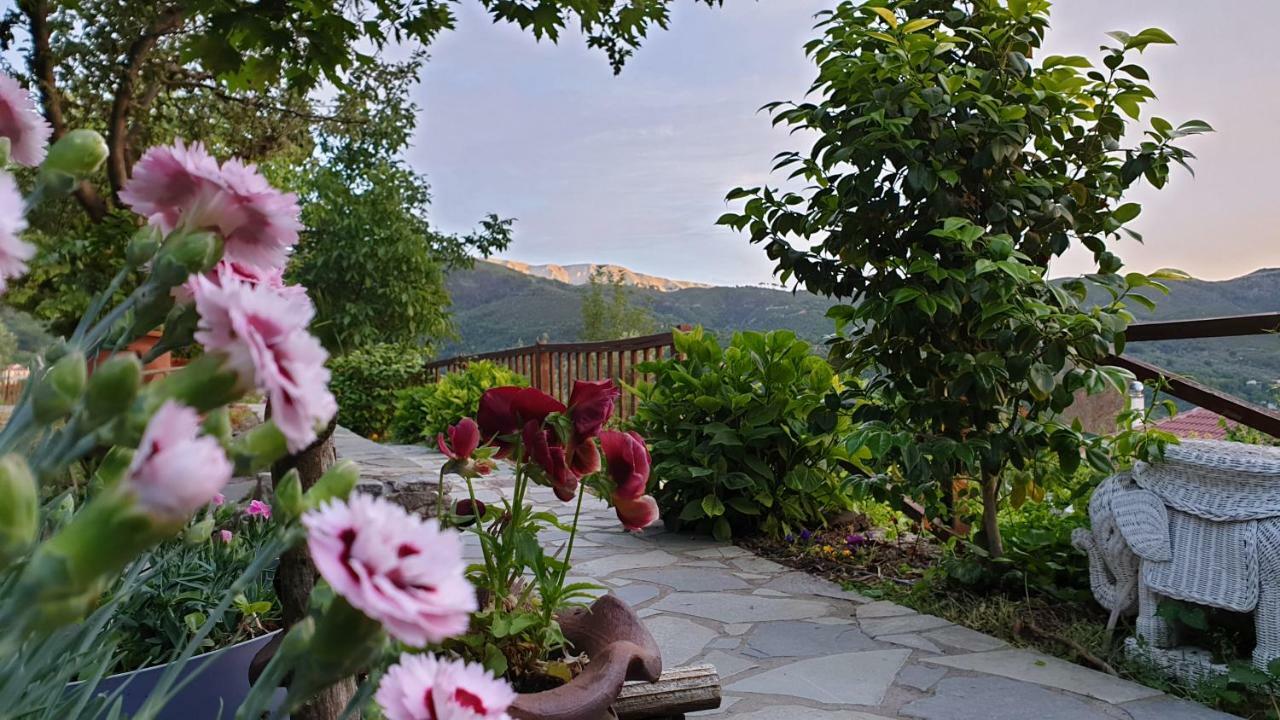 Alagonia Country Homes Екстер'єр фото